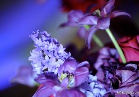 u12_8062.jpg