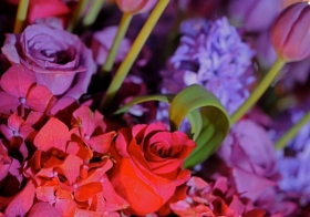 u12_8078.jpg