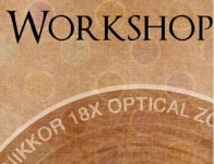 workshop-beginner.jpg