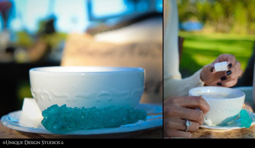Miami photographers-engagement session-unique- vizcaya- photography 17